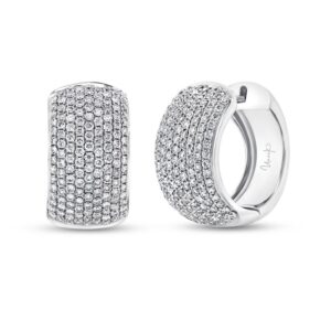 Huggie Earrings