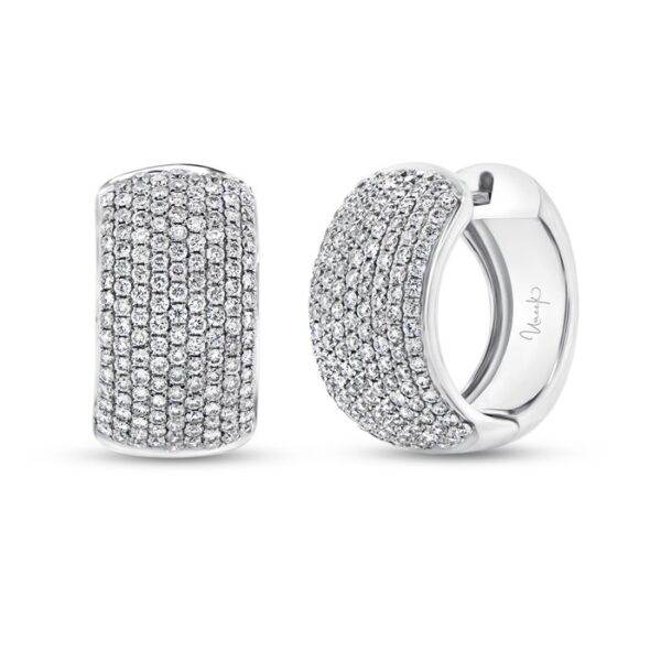 Huggie Earrings