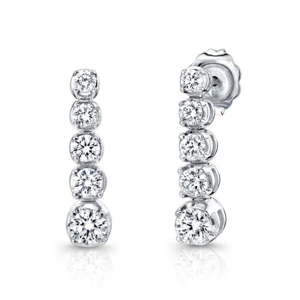 Dangle Earrings
