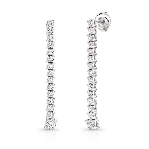 Drop Earrings