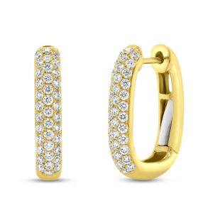 Huggie Earrings