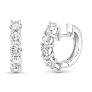 Huggie Earrings