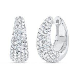 Huggie Earrings