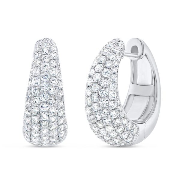Huggie Earrings