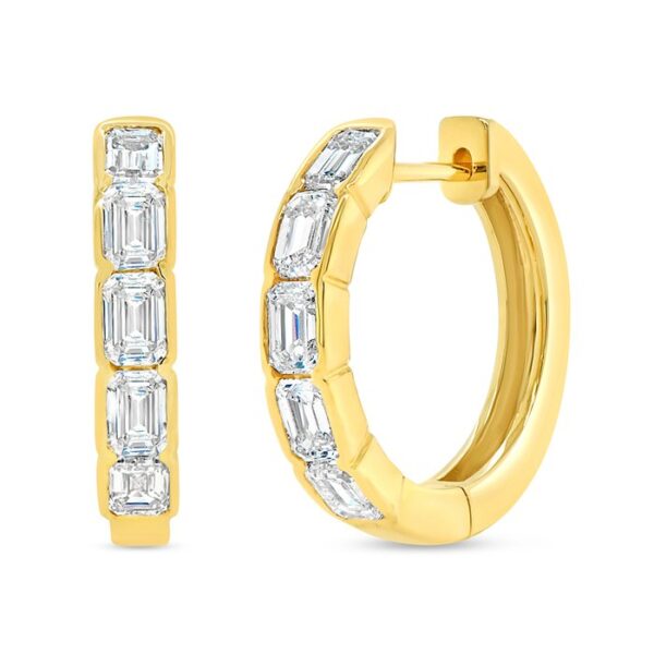 Huggie Earrings