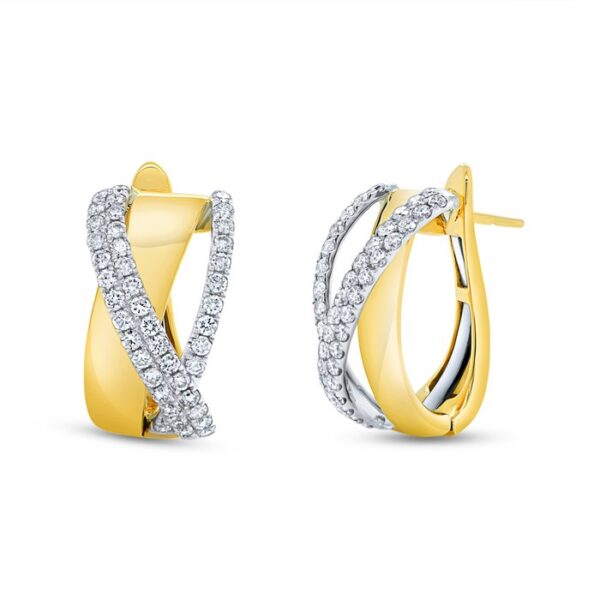 Twist Fashion Earrings