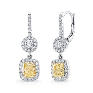 Halo Dangle Earrings