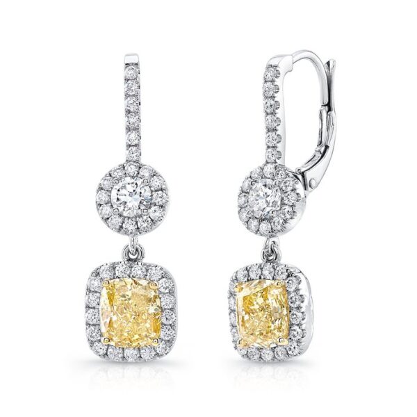 Halo Dangle Earrings