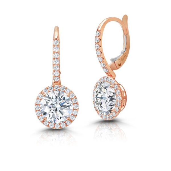 Halo Drop Earrings