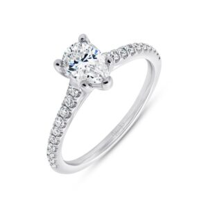 Cathedral Cushion Cut Engagement Ring