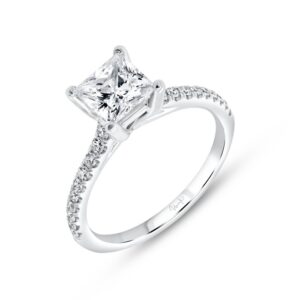 Cathedral Engagement Ring