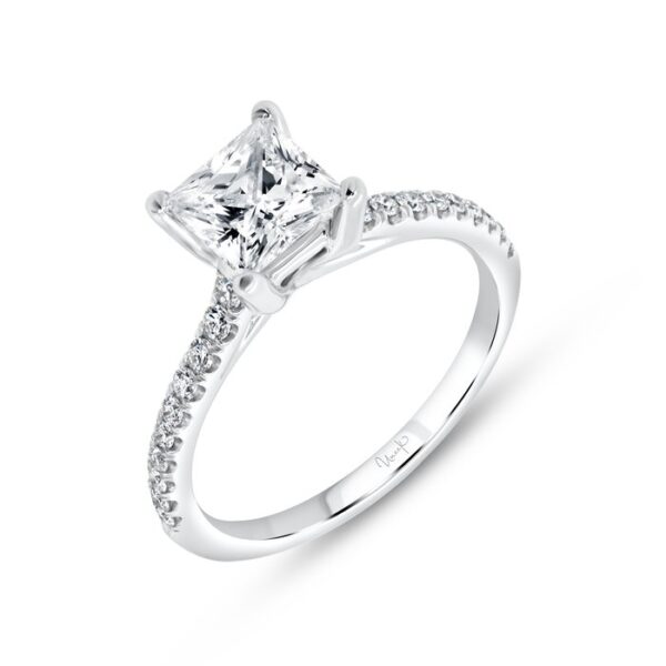 Cathedral Engagement Ring