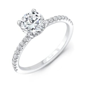 Under-Halo Round Engagement Ring