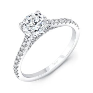 Cathedral Round Engagement Ring