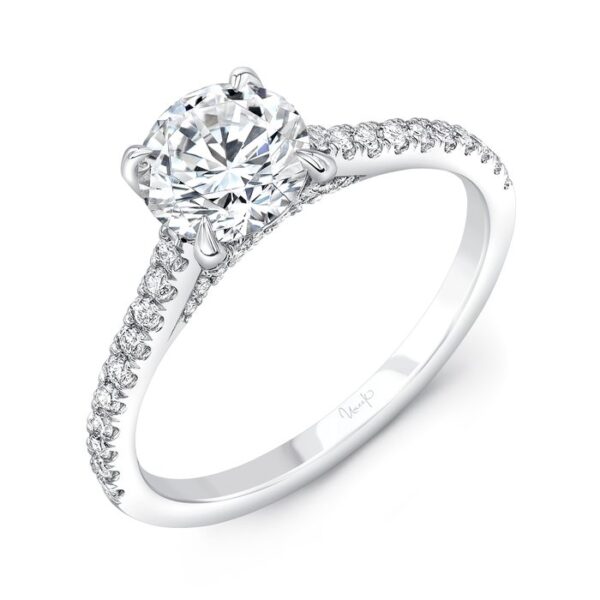 Cathedral Round Engagement Ring