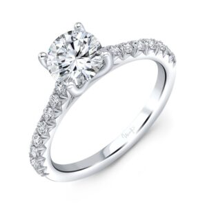 Cathedral Round Engagement Ring