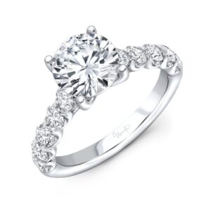 Cathedral Round Engagement Ring