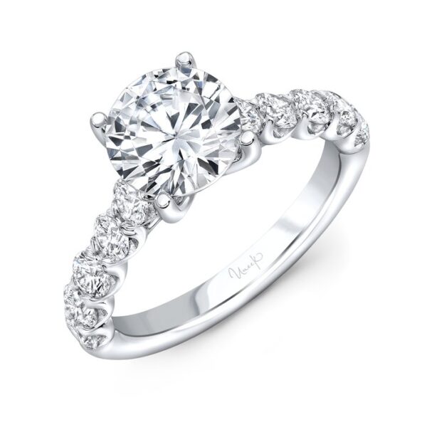 Cathedral Round Engagement Ring