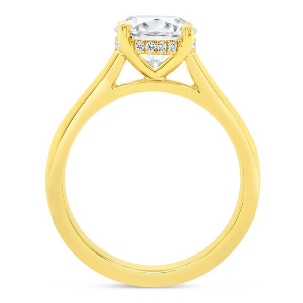 Under-Halo Engagement Ring - Image 3