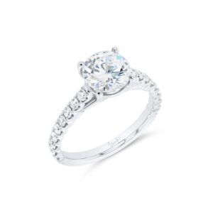 Cathedral Engagement Ring