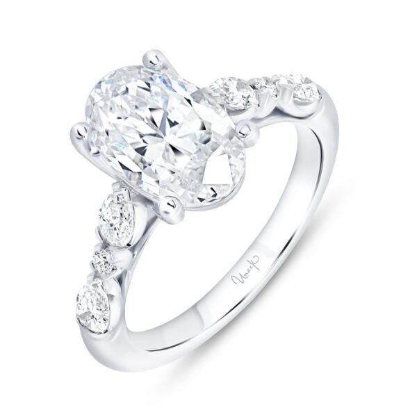 Cathedral Engagement Ring