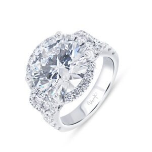 Double-Halo Engagement Ring