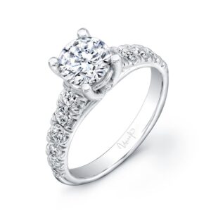 Cathedral Round Engagement Ring