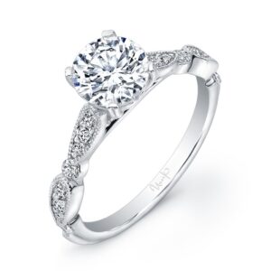 Cathedral Round Engagement Ring