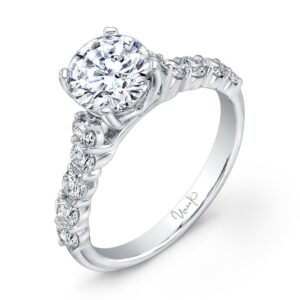 Cathedral Round Engagement Ring