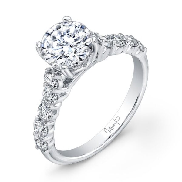 Cathedral Round Engagement Ring