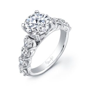 Cathedral Round Engagement Ring