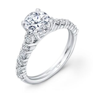 Cathedral Round Engagement Ring