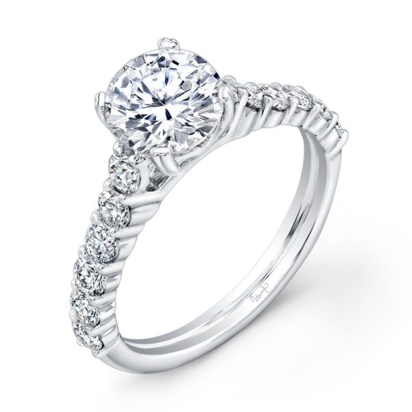 Cathedral Round Engagement Ring
