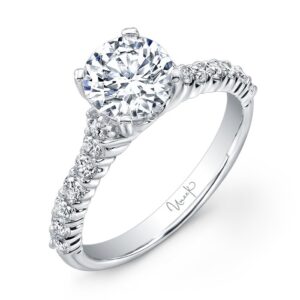 Cathedral Round Engagement Ring