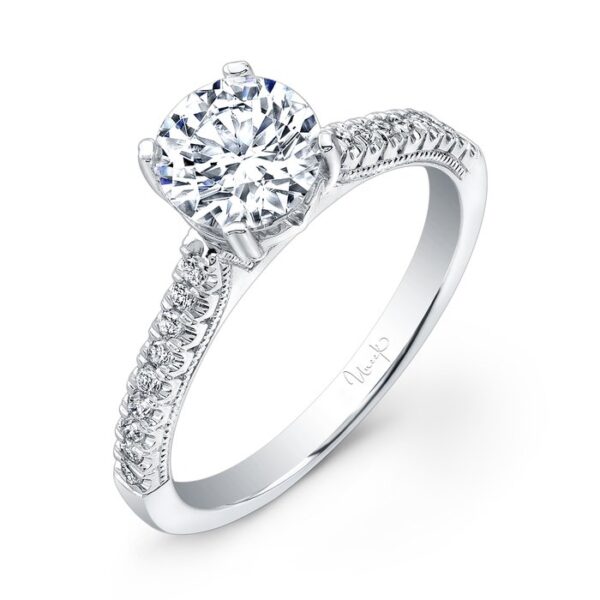 Cathedral Round Engagement Ring
