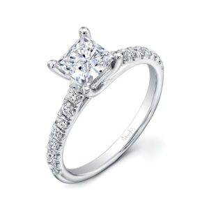Cathedral Princess Cut Engagement Ring