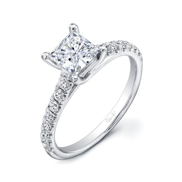 Cathedral Princess Cut Engagement Ring