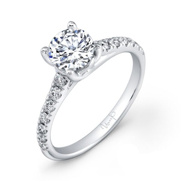Cathedral Round Engagement Ring