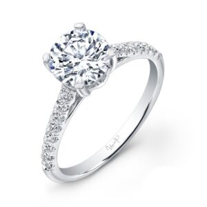 Cathedral Round Engagement Ring